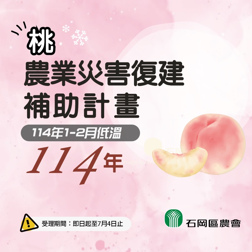 相片說明：